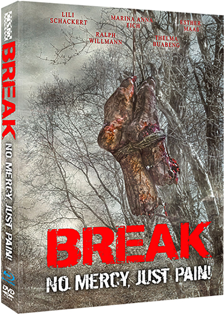 BREAK (2DVD+Blu-Ray) (3Discs) - Cover D - Limited 333 Edition - Mediabook