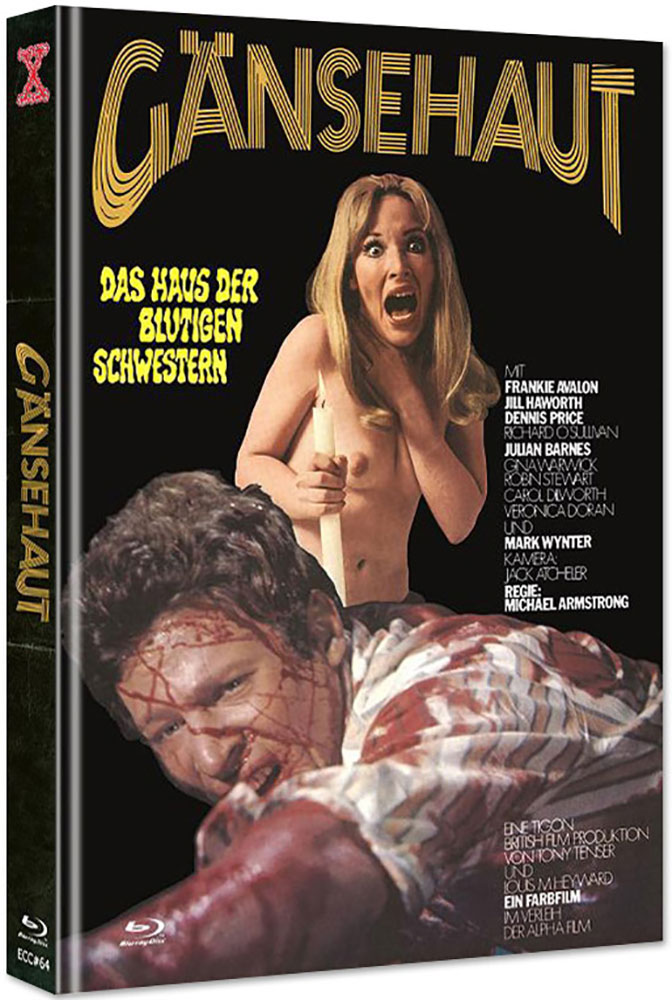 GÄNSEHAUT - THE HAUNTED HOUSE OF HORROR (Blu-Ray+DVD) - Cover B - Mediabook - Limited 222 Edition