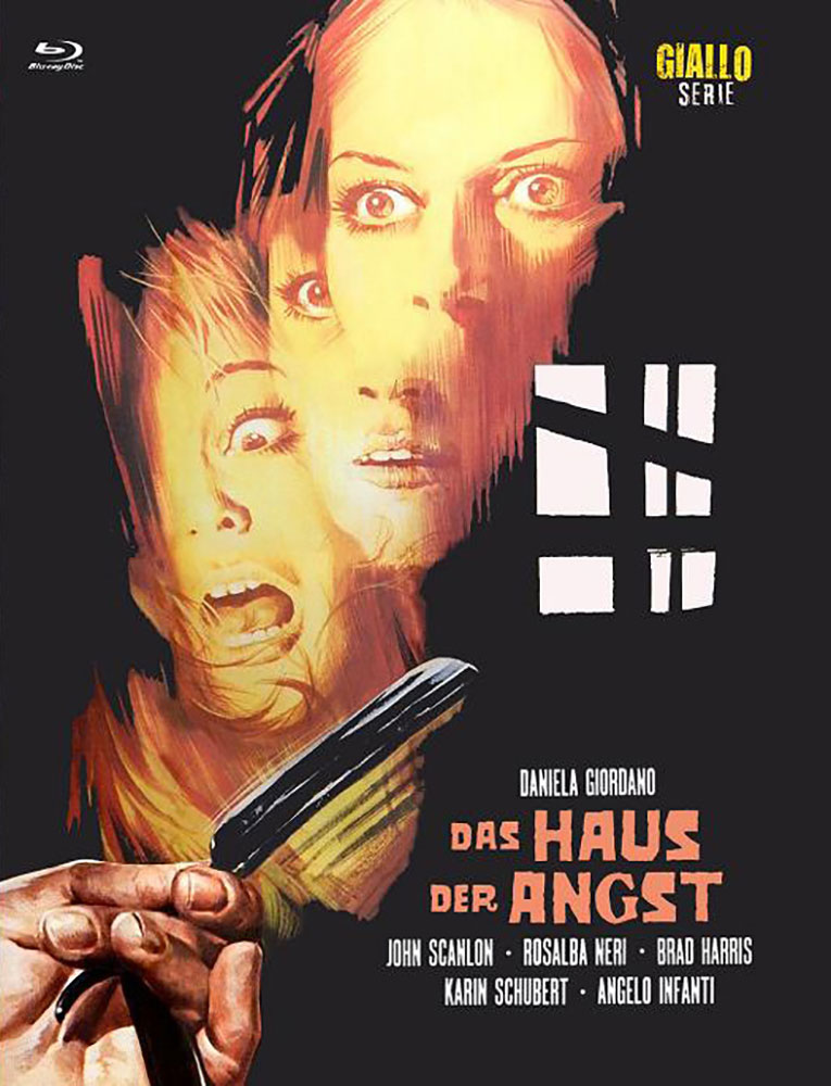 HAUS DER ANGST, DAS (Blu-Ray+DVD) - Cover C - Mediabook - Limited 222 Edition