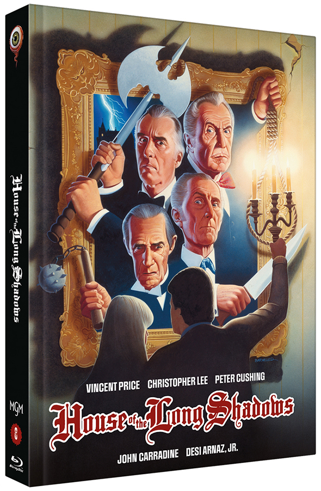 HAUS DER LANGEN SCHATTEN, DER (Blu-Ray+DVD) - Cover D - Mediabook - Limited 222 Edition