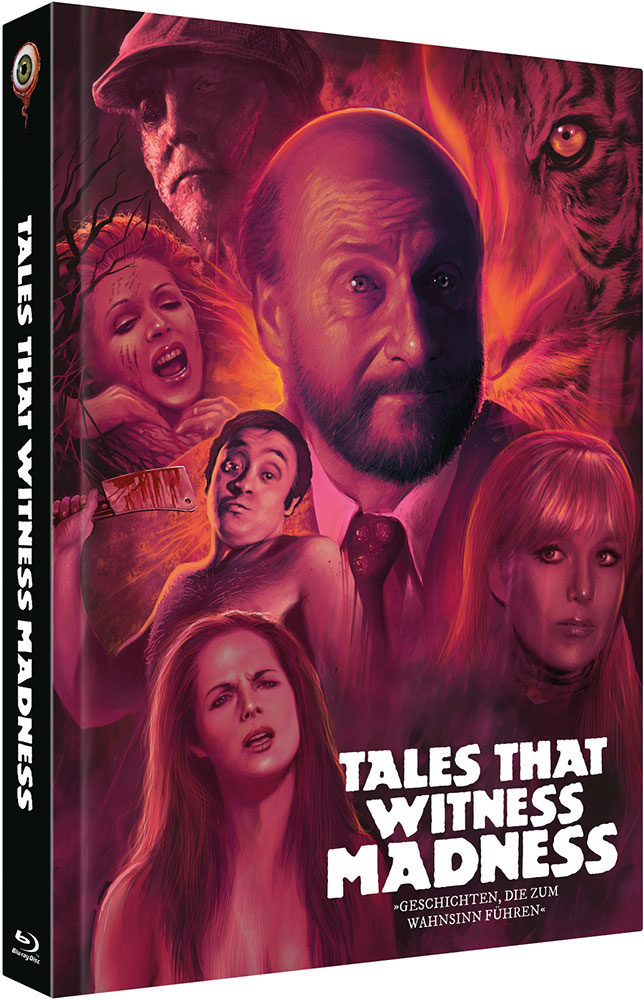 GESCHICHTEN, DIE ZUM WAHNSINN FÜHREN (Blu-Ray+DVD) - Cover B - Mediabook - Limited 222 Edition