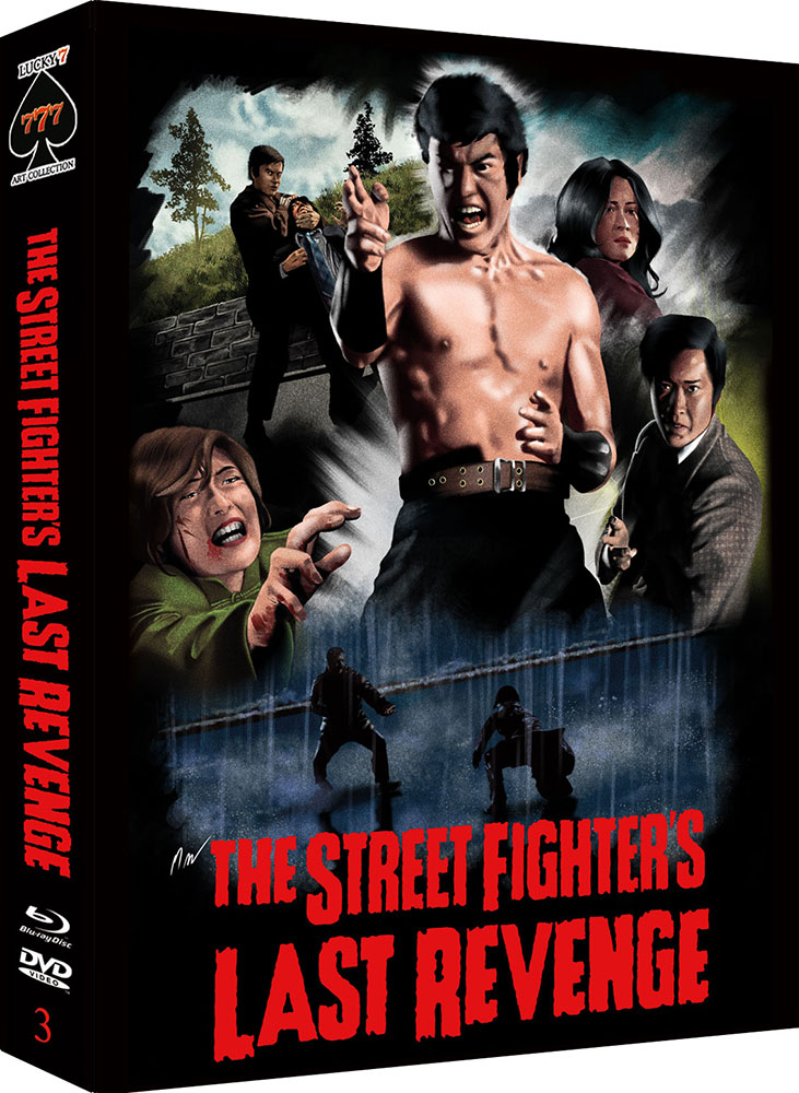 STREET FIGHTERS LAST REVENGE, THE (Blu-Ray+DVD) - Limited 777 Edition - Uncut - Art Collection