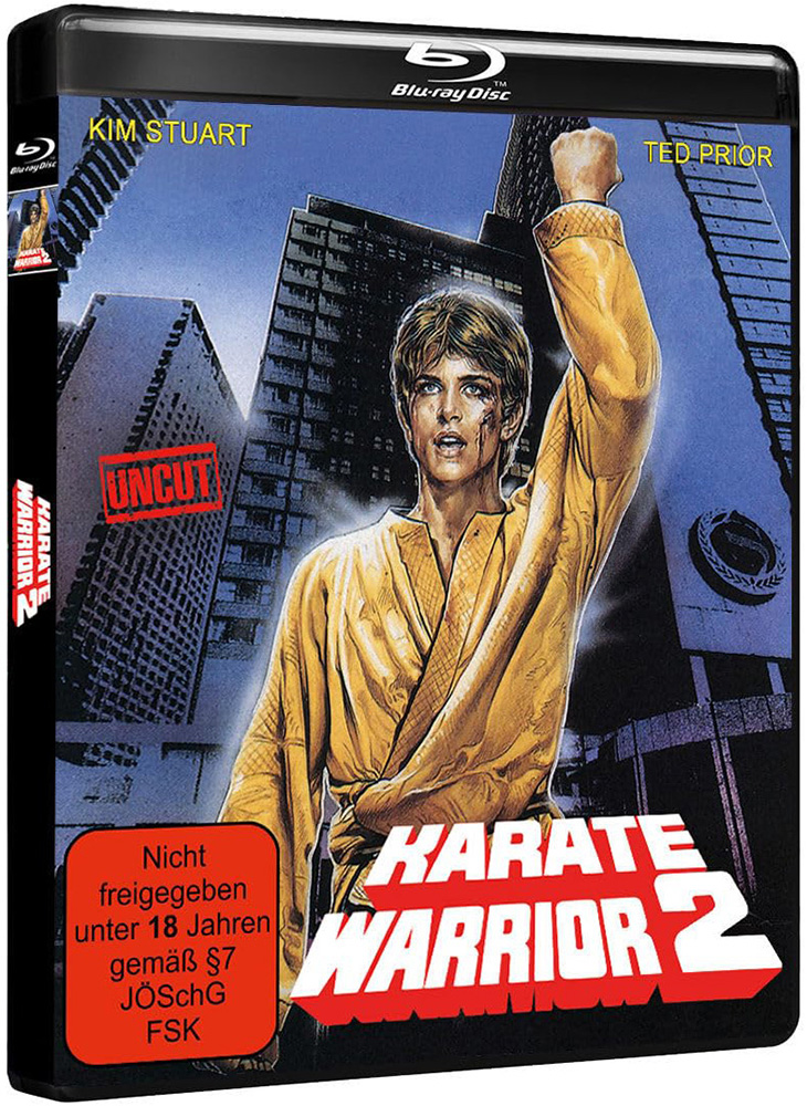 KARATE WARRIOR 2 (Blu-Ray)